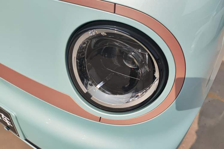 Used  Panda 2024 Panda Mini 200km Endurance Bear
