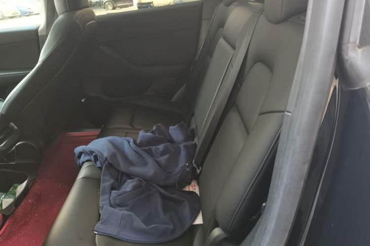 Used Tesla Model Y 2021 Standard Range Rear-Wheel Drive Version