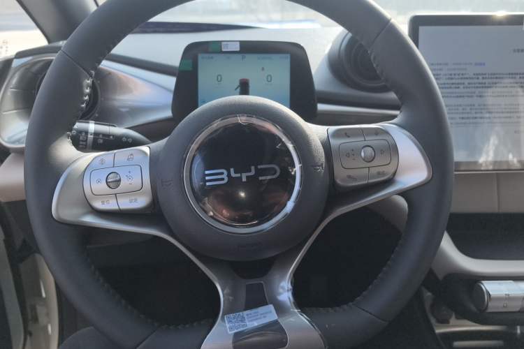 Used BYD Dolphin 2025 420km Free Edition