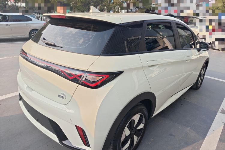 Used BYD Dolphin 2024 Honor Edition 420km Freedom Version
