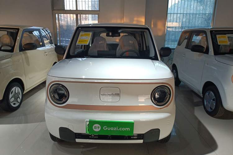 Used  Panda 2024 Panda Mini 200km Endurance Bear