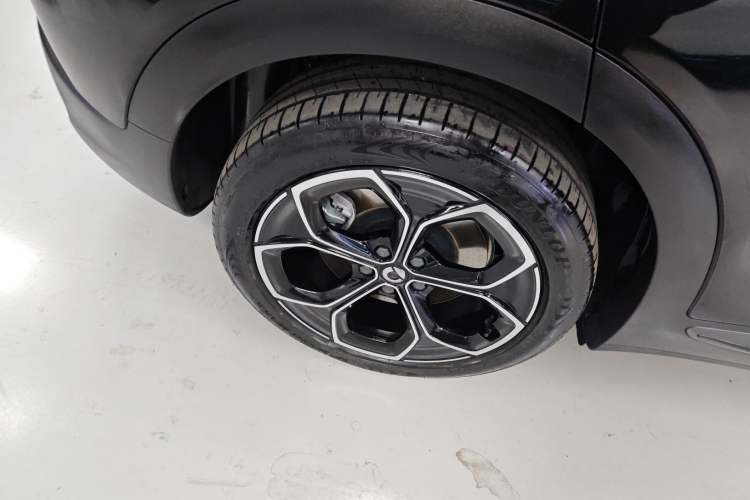 Used  #3 2024 Dynamic Standard Edition
