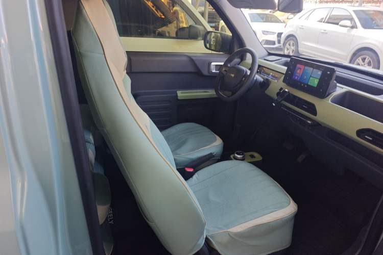 Used  Panda 2023 Panda Mini 200km Endurance Bear
