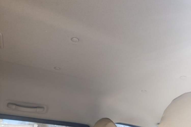 Used FORTHING Lingzhi 2019 Facelifted M5L 1.6L 7-Seater Base Model China VI Standard