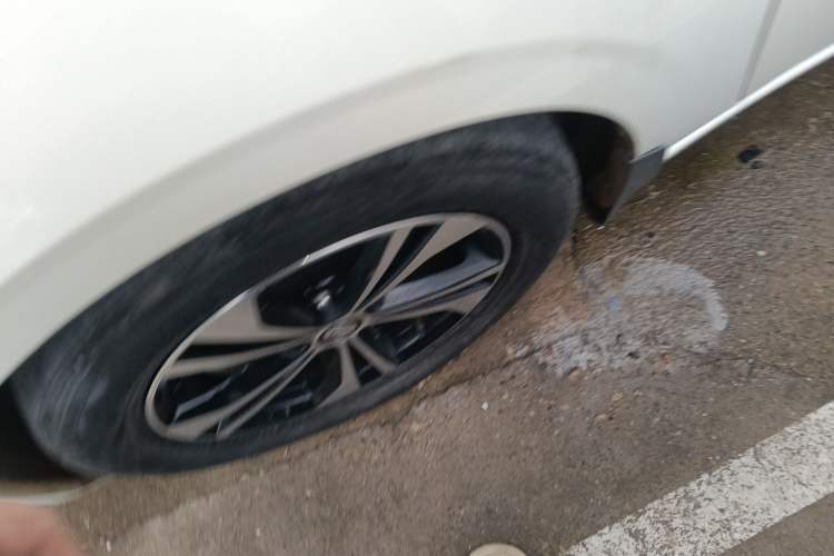 Used Nissan Sylphy 2022 1.6L XL CVT Enjoyment Edition
