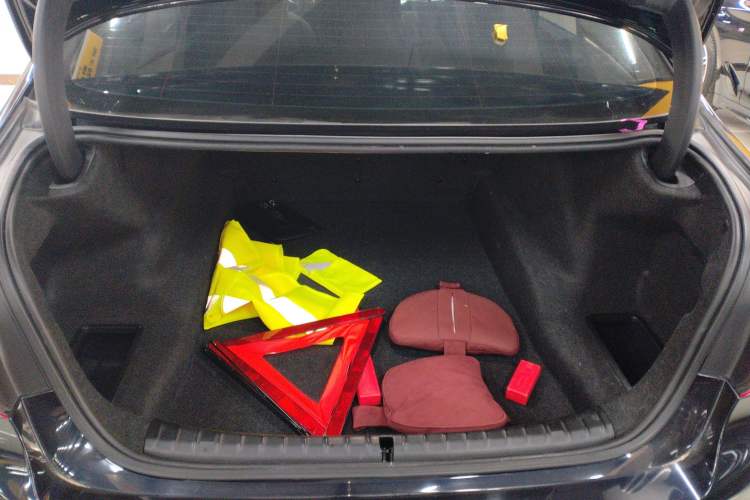 Used BMW 5 Series 2020 530Li Leading Model M Sport Package
