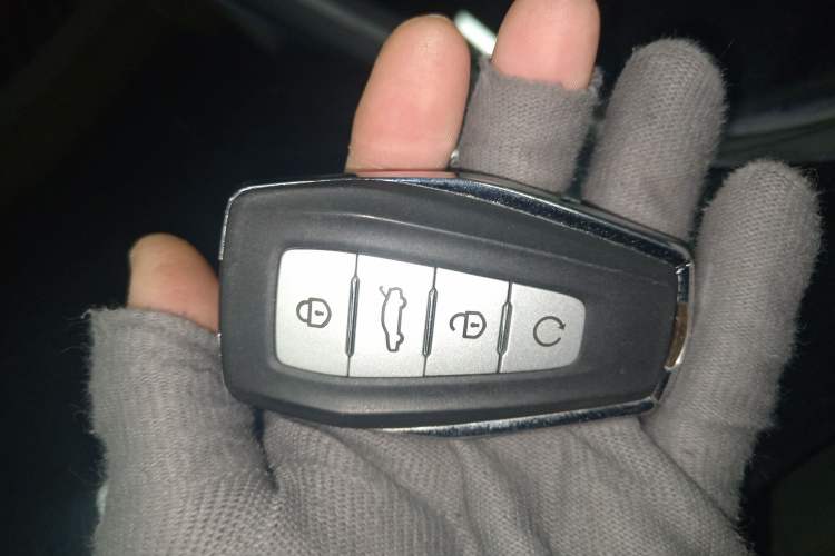 Used Geely Auto Monjaro L 2024 2.0TD High-Power Automatic Two-Wheel Drive Skyline Edition
