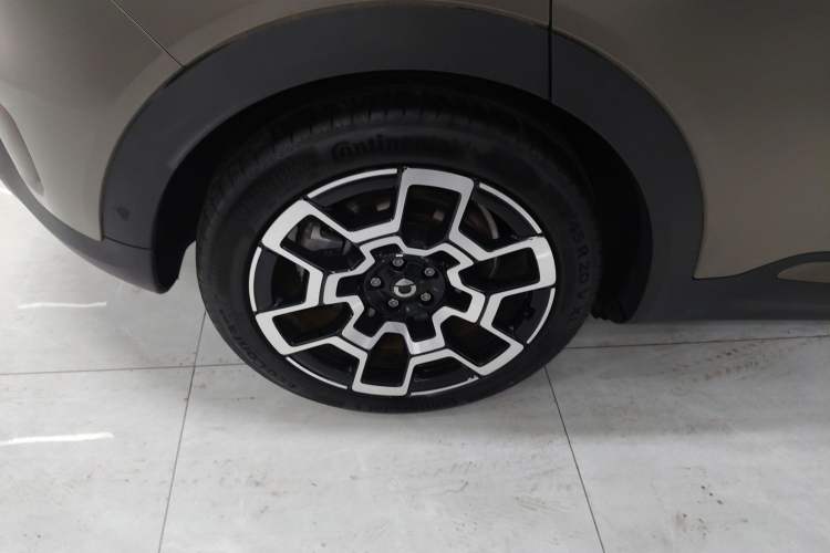 Used  #5 2024 Jungle Realm Limited Edition