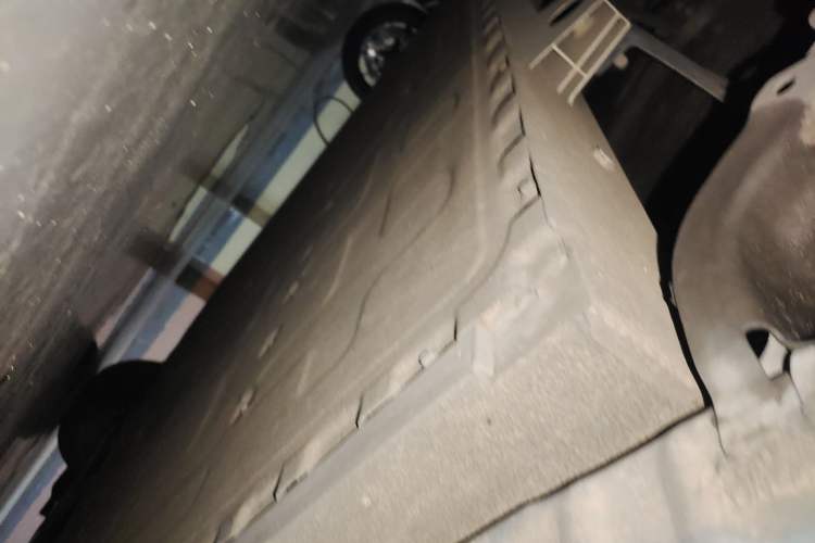 Used ORA Good Cat 2023 401 km Standard Range Luxury Version Lithium Iron Phosphate
