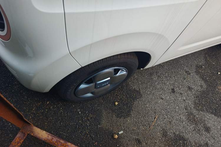 Used  Panda 2024 Panda Mini 200km Endurance Bear
