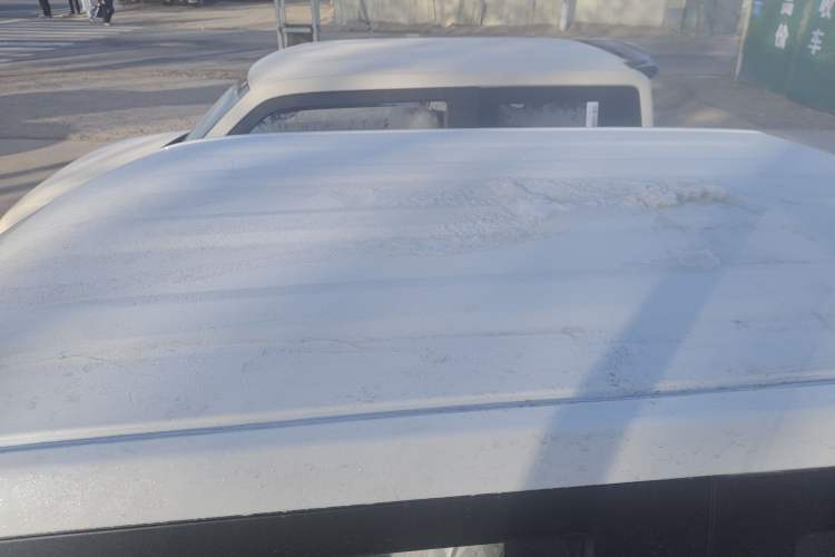 Used  Panda 2024 Panda Mini 200km Endurance Bear