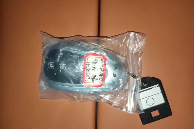 Used Wey Lanshan 2025 Four-Wheel Drive Ultra
