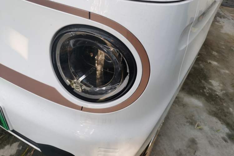 Used  Panda 2024 Panda Mini 200km Endurance Bear
