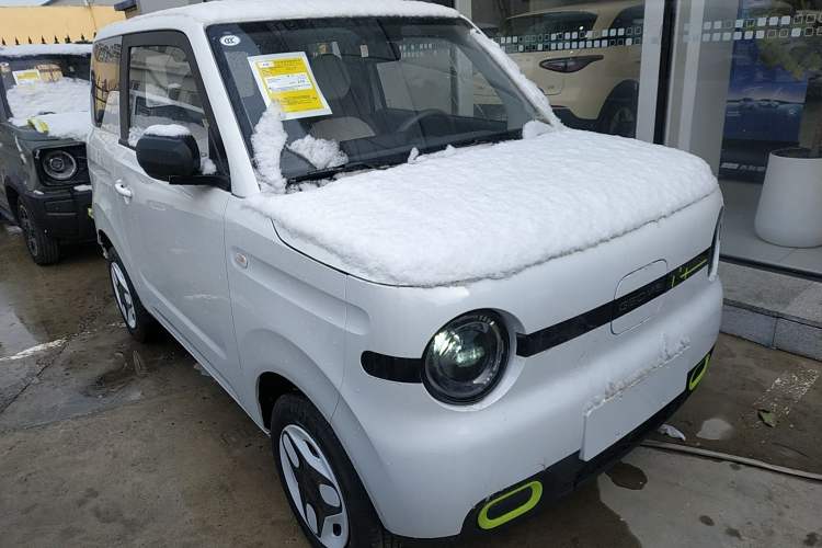 Used  Panda 2025 210 km – Yuanqi Bear

