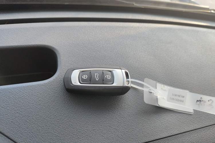 Used  Panda 2025 210 km – Yuanqi Bear
