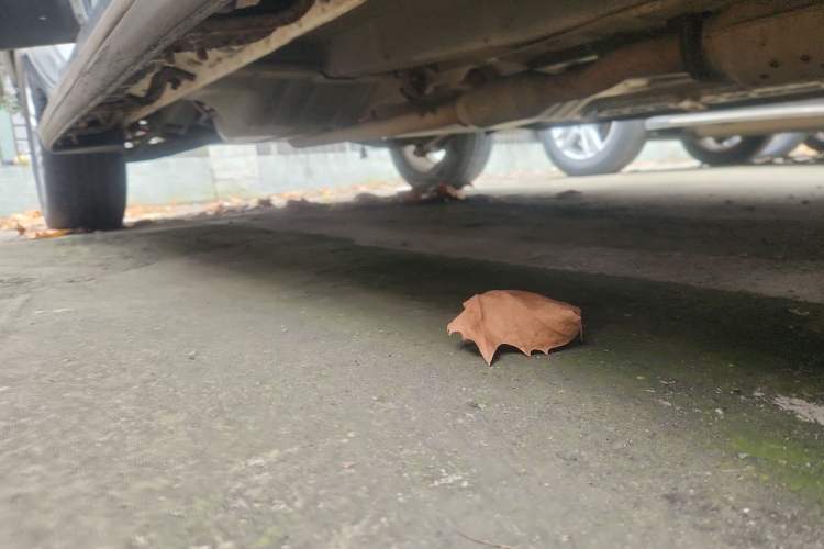 Used Kia Sportage 2013 2.0L Manual Two-Wheel Drive GL Trim
