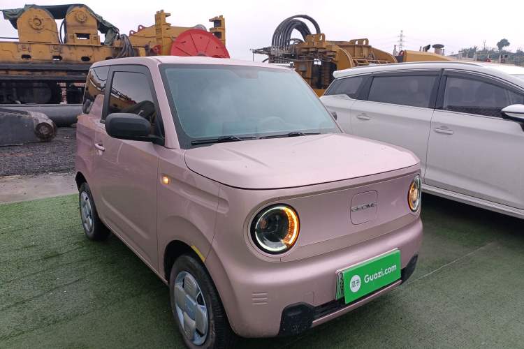 Used  Panda 2023 Panda Mini 200km Endurance Bear