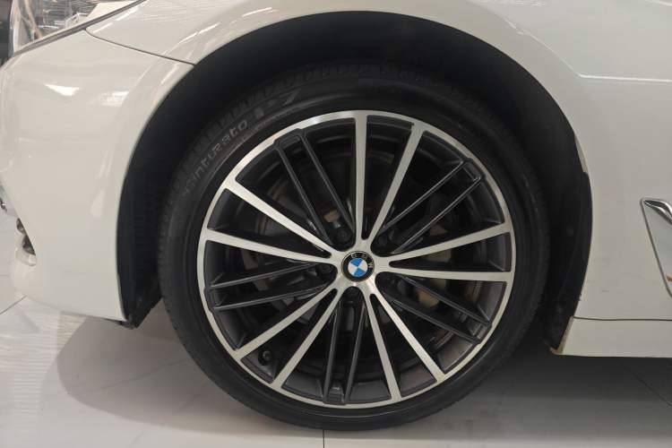 Used BMW 5 Series 2020 530Li Leading Edition Luxury Package