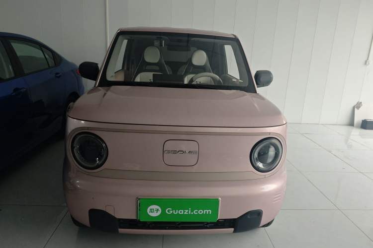 Used  Panda 2023 Panda Mini 200km Endurance Bear