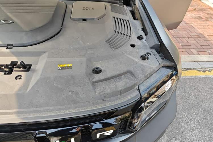 Used  Shanhai T2 2024 C-DM 129KM Linye Edition
