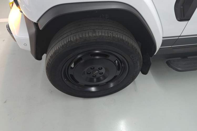 Used  V23 2025 401 Two-Wheel Drive Intelligent Driving Version
