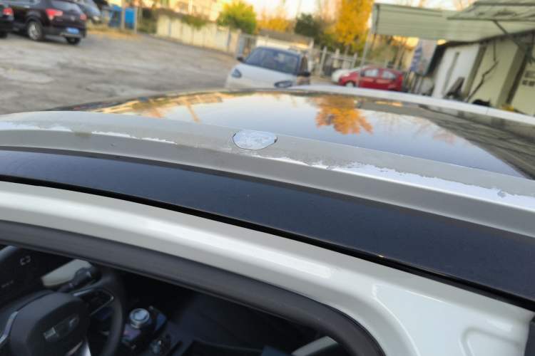 Used Geometry E Firefly 2022 320KM Cute Tiger 4-Seater
