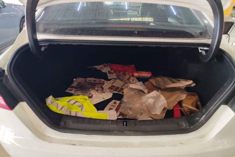 Used Geely Auto Binray 2019 200T DCT Binchi Edition