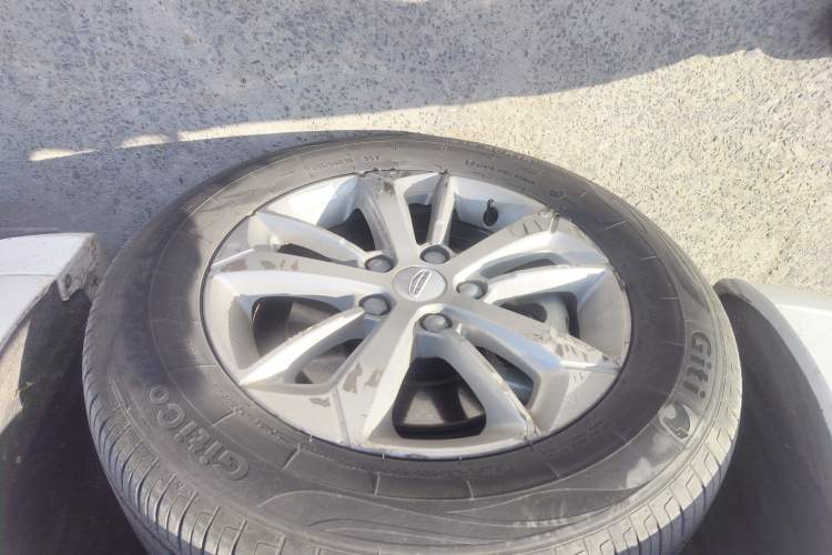 Used Livan Maple 60s 2023 Battery-Swap Happiness Custom Edition Lithium NMC