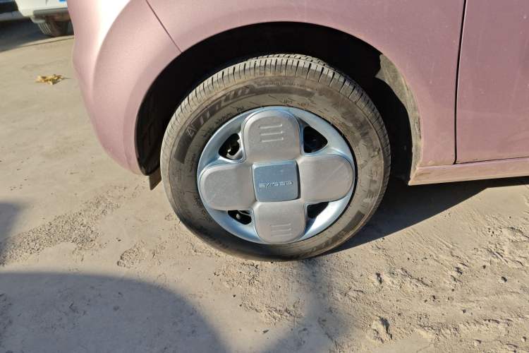 Used  Panda 2024 Panda Mini 200km Endurance Bear
