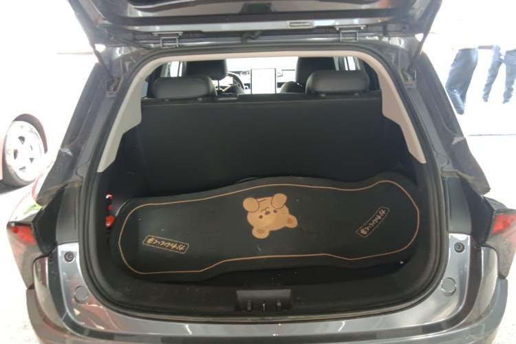 Used NETA V 2022 Chao 400 Lite
