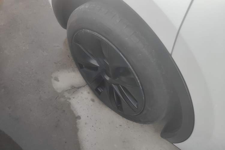 Used Tesla Model Y 2023 Rear-Wheel-Drive Version
