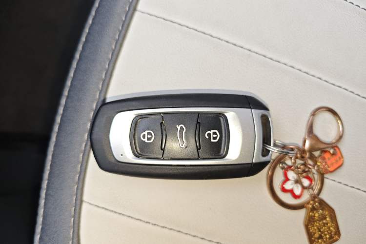 Used  Panda 2025 210km Panda Rider
