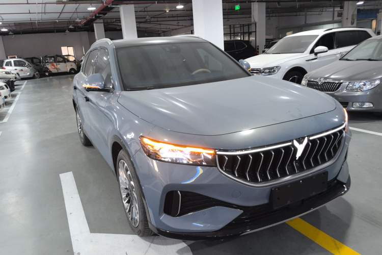 Used VOYAH FREE 2021 Four-Wheel Drive Standard Range-Extended Exclusive Luxury Package
