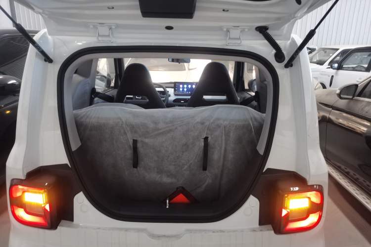 Used  Panda 2024 Panda Mini 200km Endurance Bear
