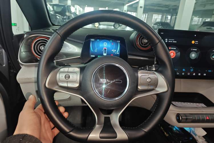 Used BYD Dolphin 2021 405 km Free Version