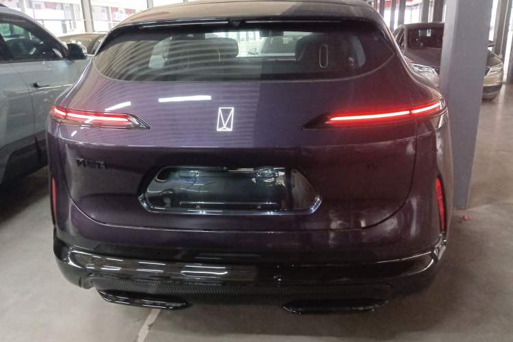 Used  07 2024 Max Pure Electric Edition
