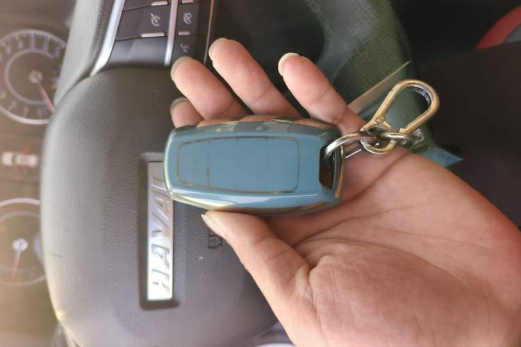 Used Haval H4 2019 Red-Label 1.5 GDIT DCT Luxury Smart Connectivity Model
