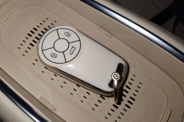 Used ORA Good Cat 2023 401 km Standard Range Luxury Version Lithium Iron Phosphate
