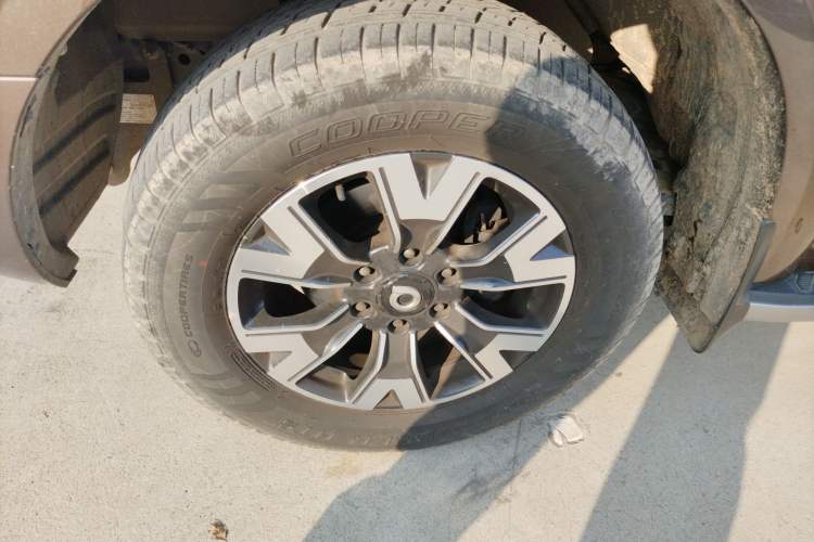 Used Great Wall Poer 2019 2.0T Automatic Gasoline Two-Wheel Drive Comfort Edition GW4C20B