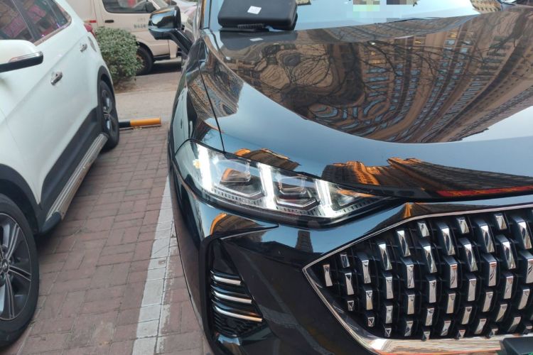 Used Wey Mocha 2021 2.0T Two-Wheel-Drive Premium Edition