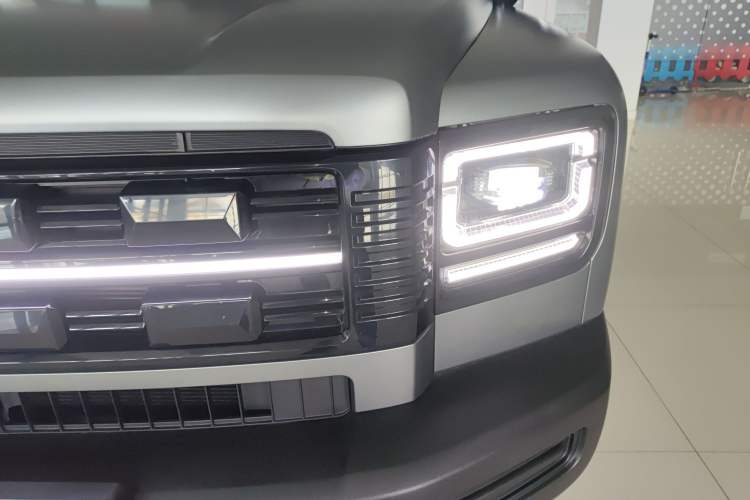 Used Haval Raptor New Energy 
