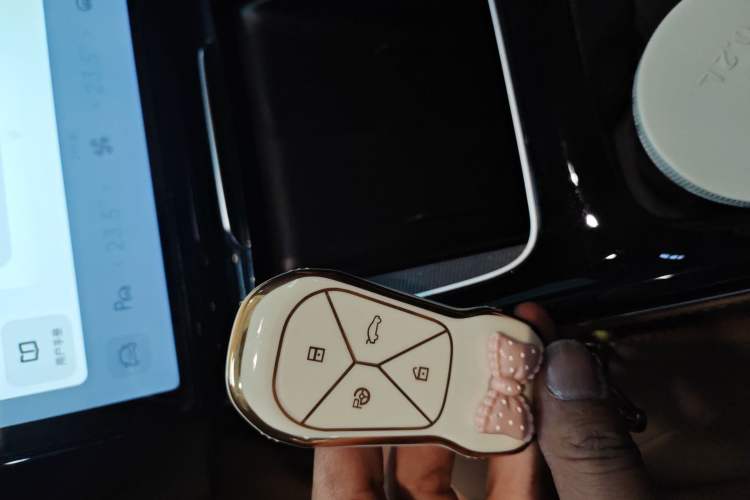 Used XPeng P5 2022 460E+
