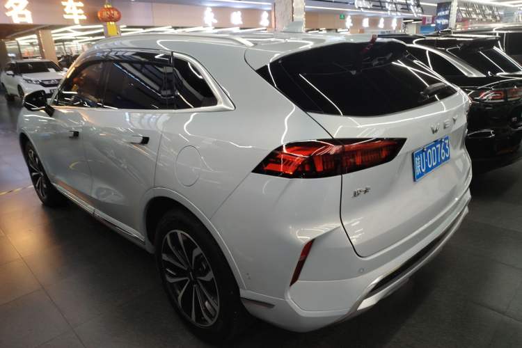 Used Wey Mocha 2021 2.0T Two-Wheel-Drive Ultra-Strong Version
