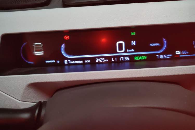 Used  Panda 2024 Panda Mini 200km Endurance Bear
