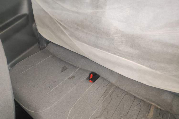 Used  Panda 2023 Panda Mini 200km Endurance Bear
