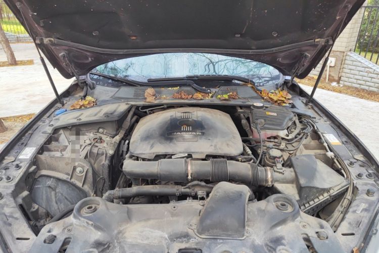 Used Jaguar XJ 2014 XJL 2.0T Two-Wheel-Drive Elegant Business Edition
