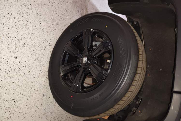 Used Tank 300 2021 Off-Road Edition 2.0T Challenger