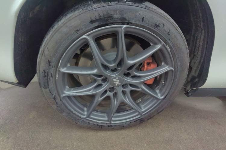 Used  LS6 2023 Max Standard Edition
