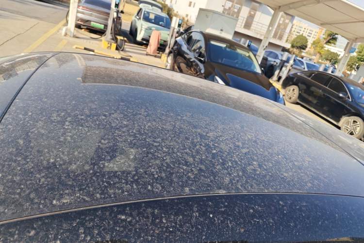 Used  firefly 2025 Illuminated Edition