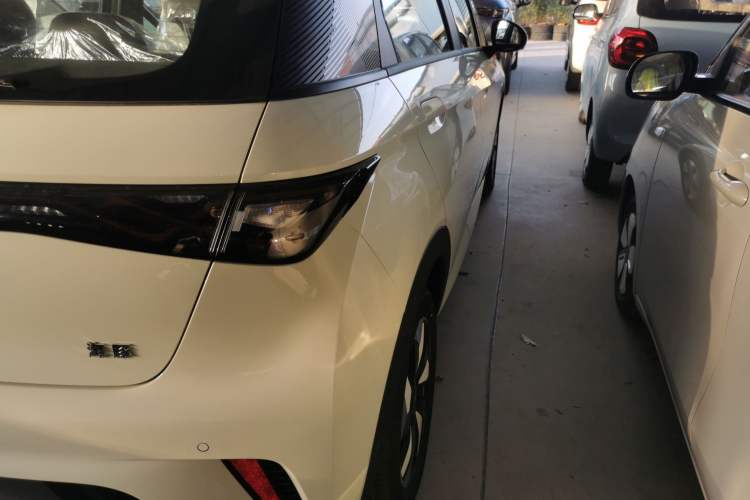 Used BYD Dolphin 2025 420km Free Edition
